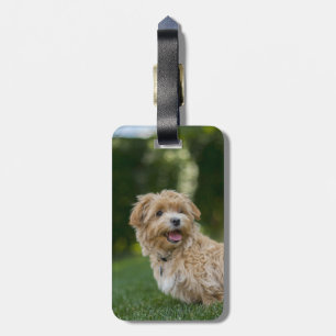 Erstelle Dein eigenes Add Photo Custom Gepäckanhänger