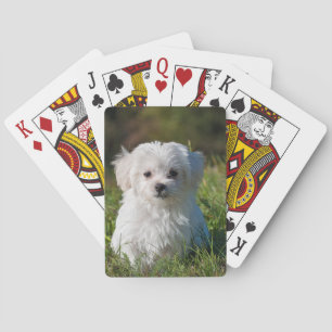 Erstelle Dein eigenes Add Photo Custom Spielkarten