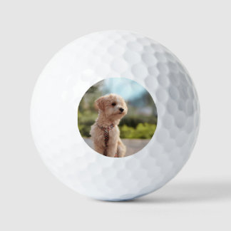 Erstelle Dein eigenes Haustier-Foto als individuel Golfball