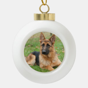 Erstelle Dein eigenes Haustier-Foto als individuel Keramik Kugel-Ornament