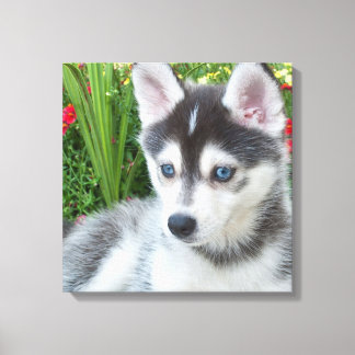 Erstelle Dein eigenes Haustier-Foto als individuel Leinwanddruck