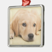 Erstelle Dein eigenes Haustier-Foto als individuel Ornament Aus Metall (Links)