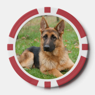 Erstelle Dein eigenes Haustier-Foto als individuel Pokerchips