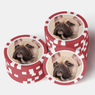 Erstelle Dein eigenes Haustier-Foto als individuel Pokerchips