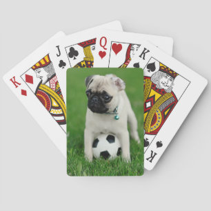 Erstelle Dein eigenes Haustier-Foto als individuel Spielkarten