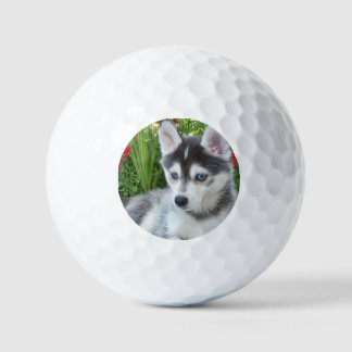 Erstelle Dein Eigenes Haustier-Foto Individuelles  Golfball