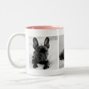 Erstelle Dein eigenes Haustier-Foto Instagram  Zweifarbige Tasse