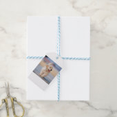 Erstelle dein eigenes Haustier Geschenkanhänger (Mit Garn)