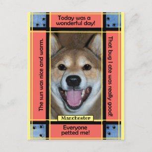 Erstelle Dein eigenes Haustier Hund Katze Foto Lus Postkarte