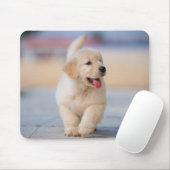 Erstelle dein eigenes Haustier Mousepad (Mit Mouse)