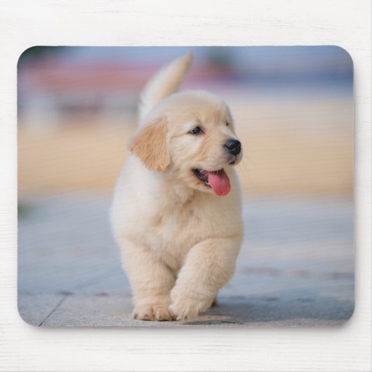 Erstelle dein eigenes Haustier Mousepad (Vorne)