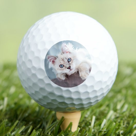 Erstelle dein eigenes Haustierfoto Golfball