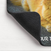 Erstelle Dein eigenes Katzen-Meme Mousepad (Ecke)