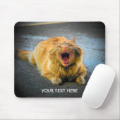 Erstelle Dein eigenes Katzen-Meme Mousepad (Mit Mouse)