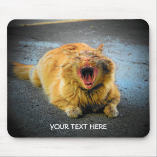 Erstelle Dein eigenes Katzen-Meme Mousepad