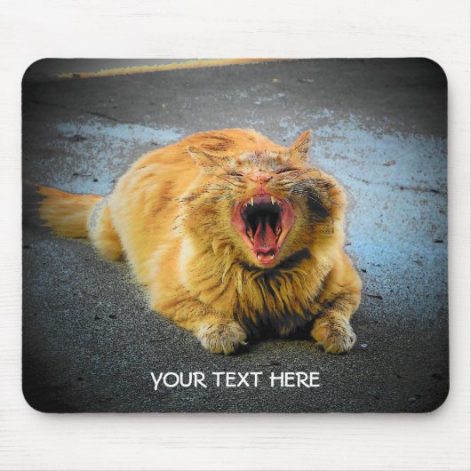 Erstelle Dein eigenes Katzen-Meme Mousepad (Vorne)