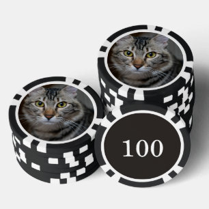 Erstelle Dein eigenes Katzenfoto nach Maß - Indivi Pokerchips