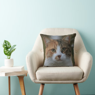 Erstelle Dein eigenes Katzenfoto nach Maß Kissen