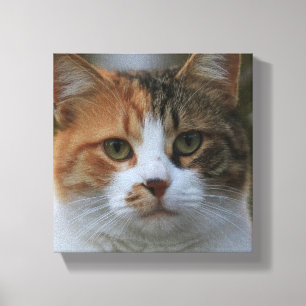 Erstelle Dein eigenes Katzenfoto nach Maß Leinwanddruck