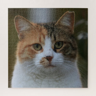 Erstelle Dein eigenes Katzenfoto nach Maß Puzzle