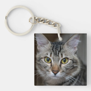Erstelle Dein eigenes Katzenfoto nach Maß Schlüsselanhänger