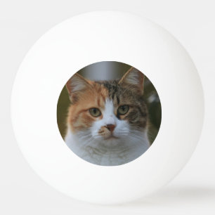 Erstelle Dein eigenes Katzenfoto nach Maß Tischtennisball