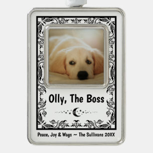 Erstelle Dein Eigenes Tarot Für Hunde Liebhaber Lu Rahmen-Ornament Silber