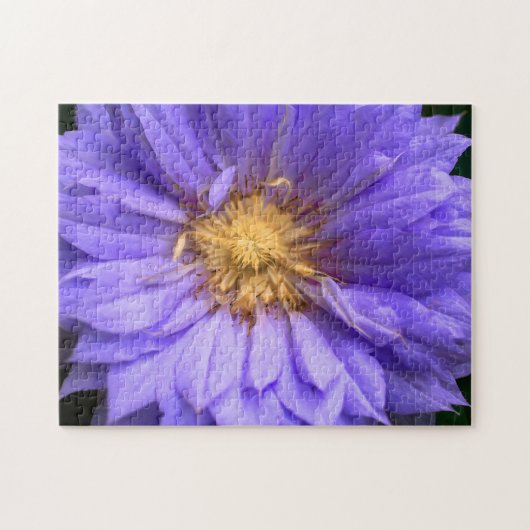 Erstelle deine eigene hübsche Dahlienblume Puzzle (Horizontal)