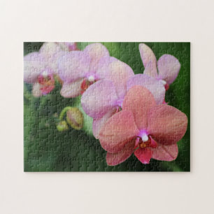 Erstelle deine eigene hübsche Pfirsich-Orchideen-B Puzzle