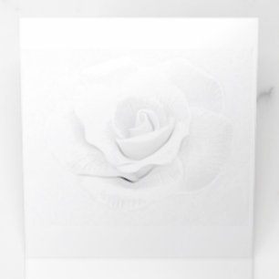 Erstelle selbst- dreifach-gefaltete programmkarte