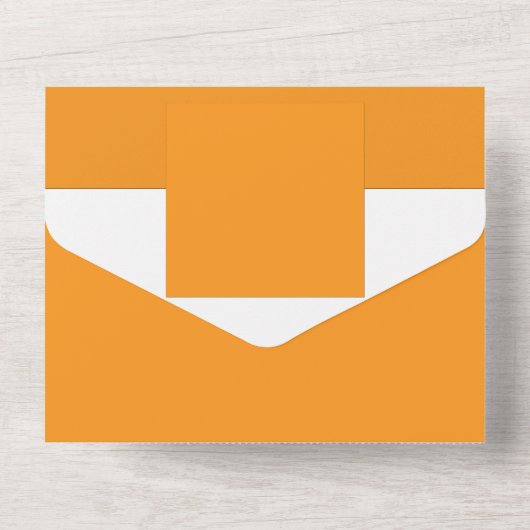 Erstellen Atemberaubender Visualisierungen mit ora All In One Einladung (Rückseite)