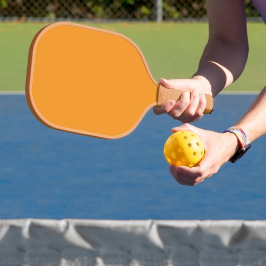 Erstellen Atemberaubender Visualisierungen mit ora Pickleball Schläger (InSitu)