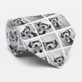 Erstellen einer benutzerdefinierten FotoCollage mi Krawatte (Gerollt)