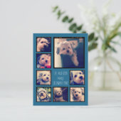 Erstellen einer benutzerdefinierten FotoCollage mi Postkarte (Stehend Vorderseite)