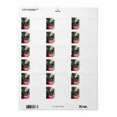 Erstellen eines Briefmarkenumschlags für die Weihn Adressaufkleber (Vorne)