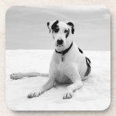 Erstellen eines eigenen Fotos-Upload Getränkeuntersetzer (Vorderseite)