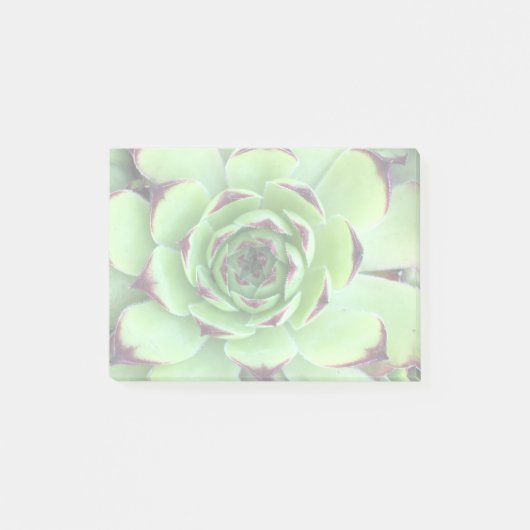 Erstellen eines hellen Fotos Post-it Klebezettel (Vorderseite)