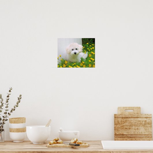 Erstellen eines Posterdrucks Poster (Küche)