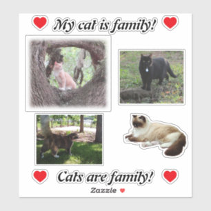 Erstellen Sie eigene Aufkleber für Katzen-Liebhabe