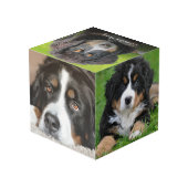 Erstellen Sie eine Monografie für das Foto Ihrer e Würfel (Rückseite Schrägansicht)