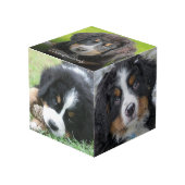 Erstellen Sie eine Monografie für das Foto Ihrer e Würfel (Vorderseite Schrägansicht)