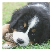 Erstellen Sie eine Monografie für das Foto Ihrer e Würfel (Vorderseite)