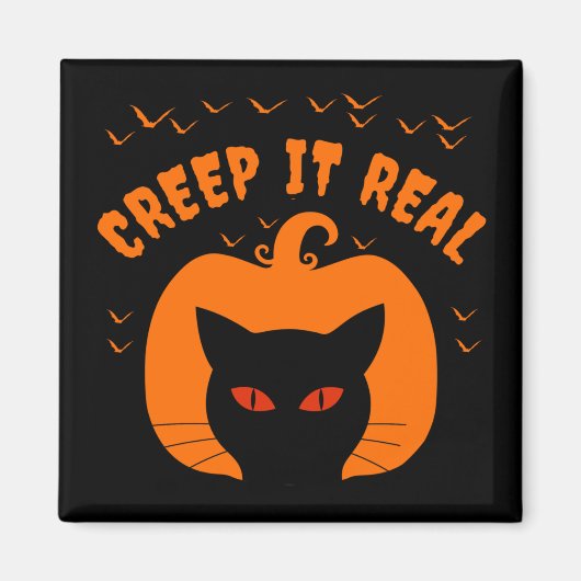 ERSTELLEN SIE ES WIRKLICH FUNNY CAT HALLOWEY MAGNET (Vorne)
