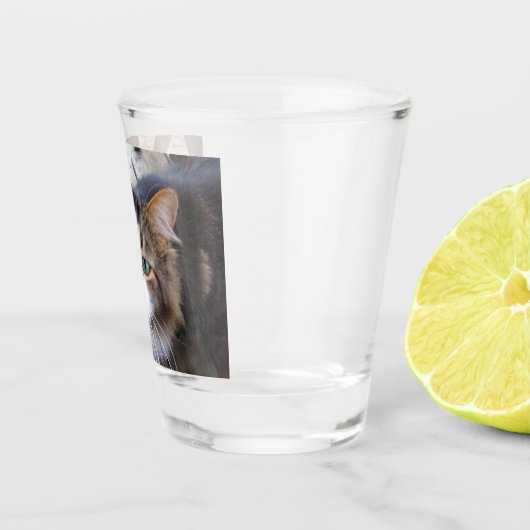 Erstellen Sie ganz einfach Ihr eigenes Add-Foto in Schnapsglas (Rechts)