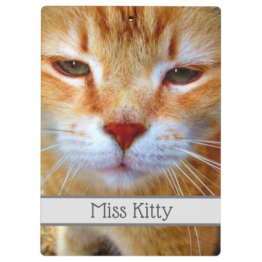 Erstellen Sie ganz einfach Ihre eigenen 2 Fotos in Klemmbrett (Rückseite)