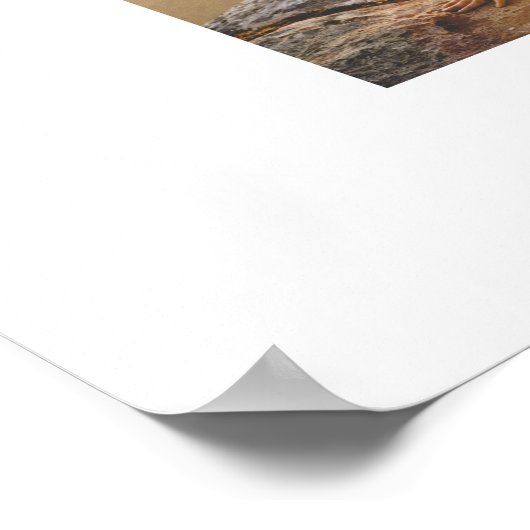 Erstellen Sie Ihr eigenes 14 Collage Poster (Ecke)