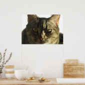 Erstellen Sie Ihr eigenes 28" x 20" Poster (Küche)