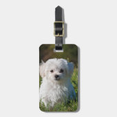 Erstellen Sie Ihr eigenes Add-Foto individuell Gepäckanhänger (Vorderseite vertikal)