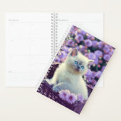 Erstellen Sie Ihr eigenes benutzerdefiniertes Cat- Planer (Anzeige)