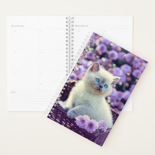 Erstellen Sie Ihr eigenes benutzerdefiniertes Cat- Planer (Anzeige)